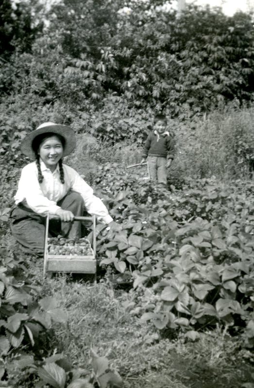 Margaret picking berries