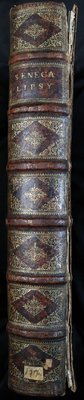 Seneca: Spine