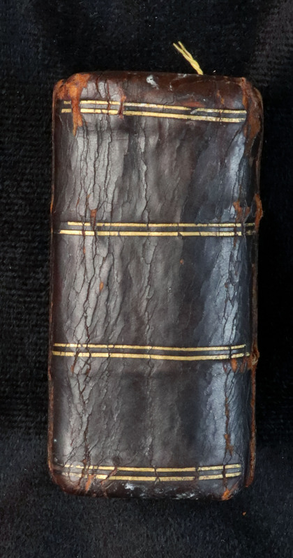 Book of Hours: Spine
