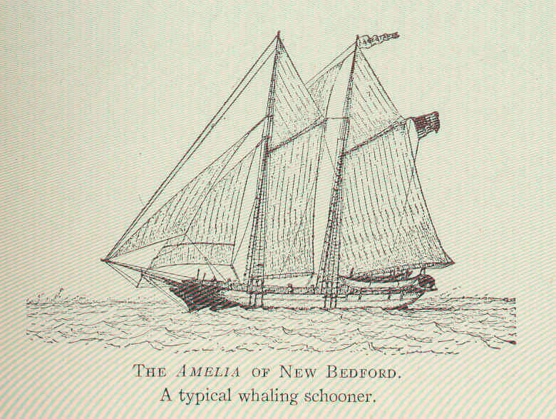 Typical Whaling Schooner