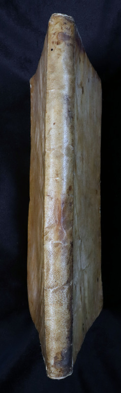 Humanae (4°): Spine