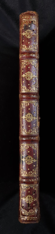 Humanae (8°): Spine