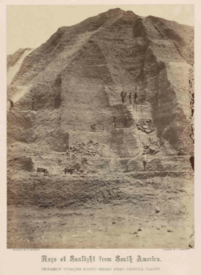 Guano Miners
