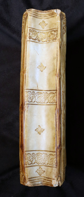 Biblia: Spine