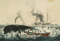 Painting of a typical whaling scene