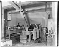 Far West Canning Co. Sorting Berries