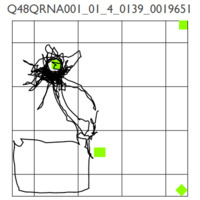 Q48QRNA001_01_4_0139_0019651_PathPlot.gif