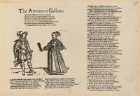The Amorous Gallant