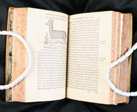 Belon: Page Opening