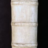 Lipsius (Poliorceticon): Spine