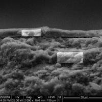 Energy dispersive X-ray measurement points 