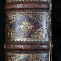 Seneca: Spine