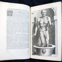 Seneca: Illustration