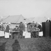 Canadian Nurses Voting