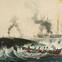 Painting of a typical whaling scene