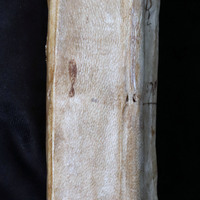 Caesar: Spine