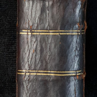 Book of Hours: Spine