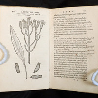 Aromatum: Page Opening