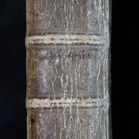 Apuleius: Spine