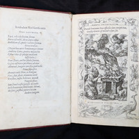 Humanae (8°): Illustration