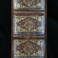 Pais-Bas: Spine