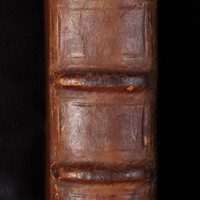 Siège de Dole: Spine