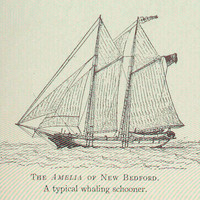 Typical Whaling Schooner