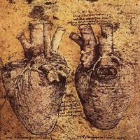 Heart and its blood vessels