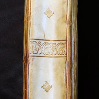 Biblia: Spine